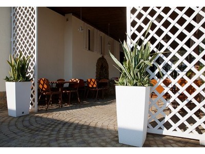  Снек-бар «La Terrasse»| Отель  «ALEAN FAMILY RESORT & SPA RIVIERA/ Ривьера Анапа» 